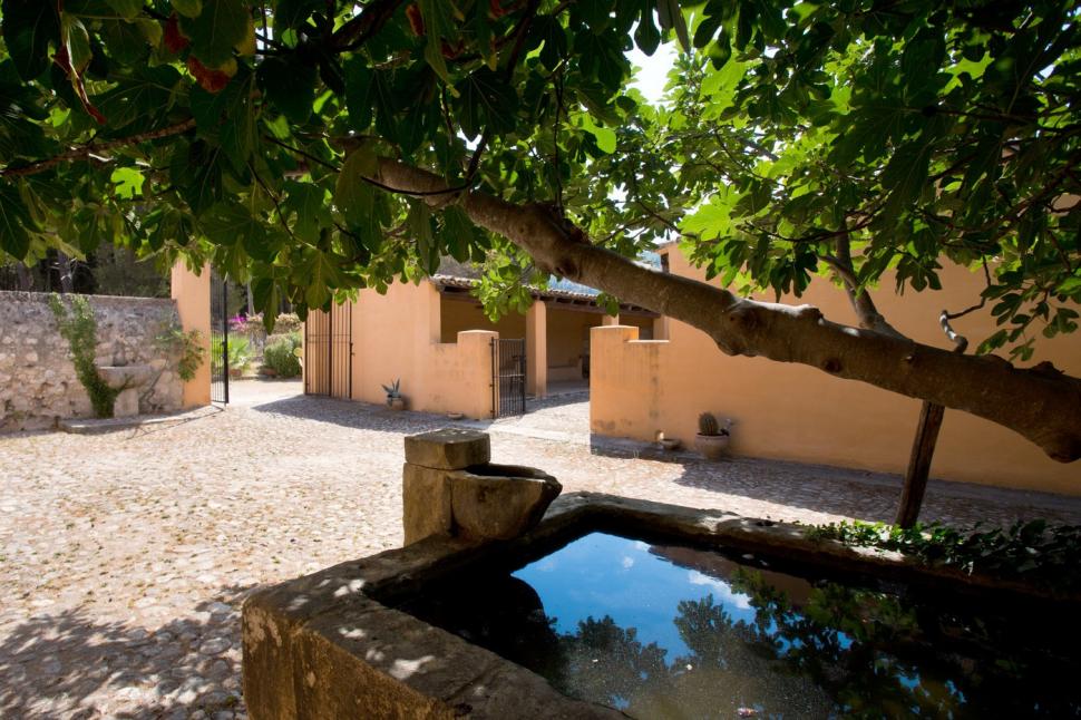 Orașul din Italia unde casele sunt vândute cu prețuri de la 3 euro. Primar: „Străinii se înghesuie să cumpere” 906156