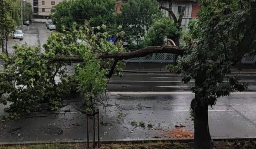 Furtuna a făcut dezastru în București. A plouat într-o oră cât în două săptămâni: case și străzi inundate, copaci căzuți peste mașini 906454