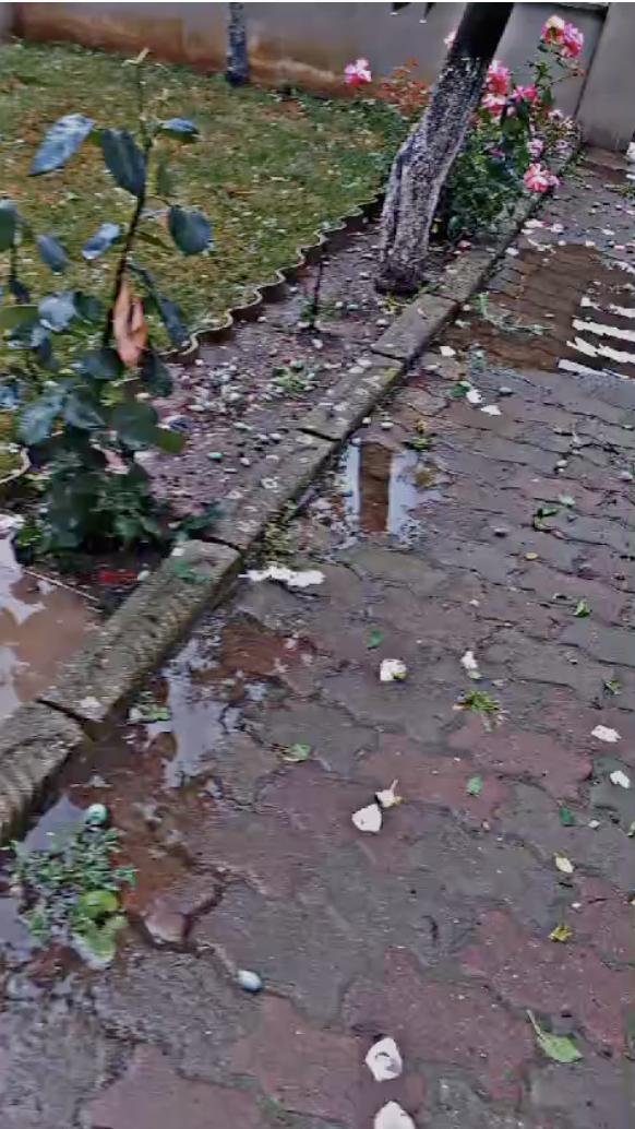 „Păcat de munca noastră”: Grindina cât mingea de golf a făcut prăpăd în mai multe localități vizate de Codul roșu de furtuni 906836