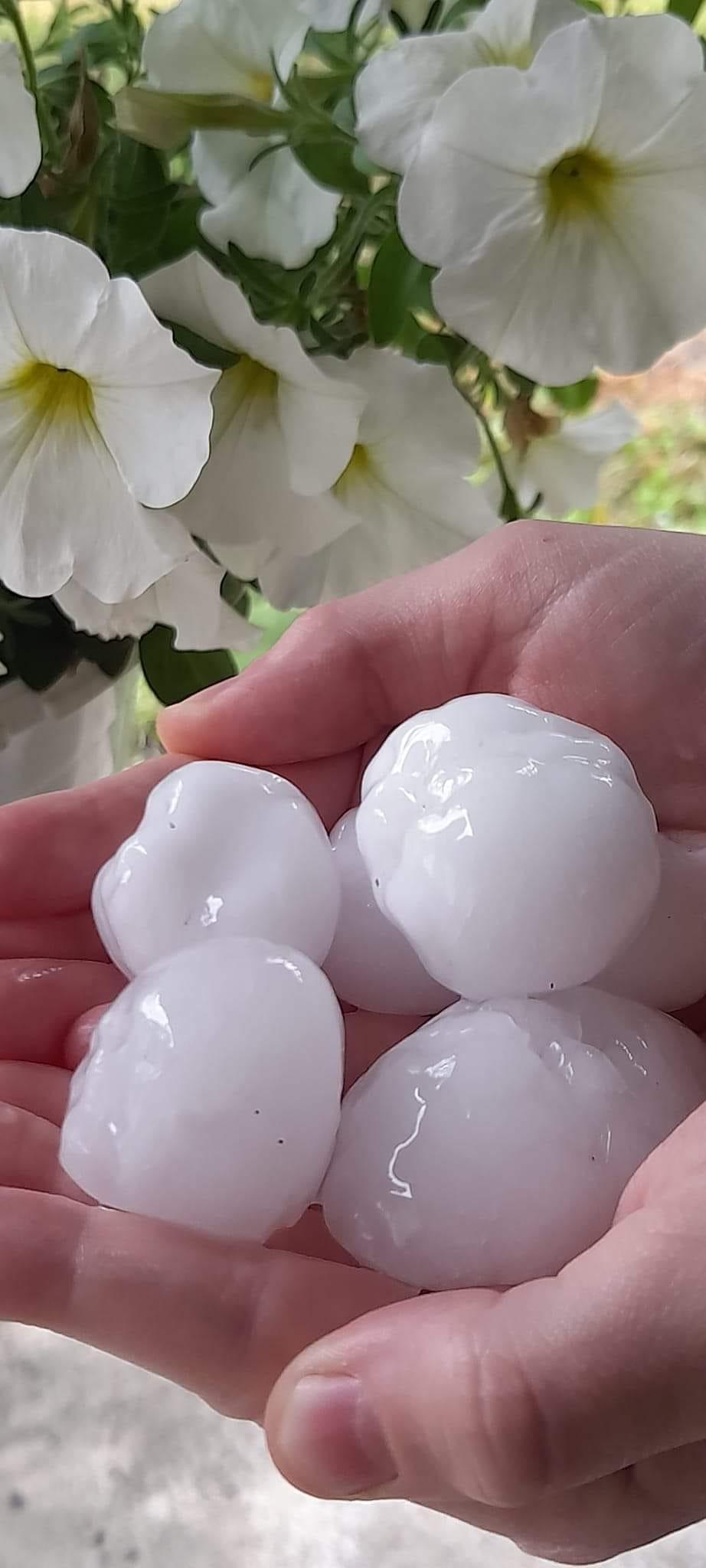 „Păcat de munca noastră”: Grindina cât mingea de golf a făcut prăpăd în mai multe localități vizate de Codul roșu de furtuni 906838