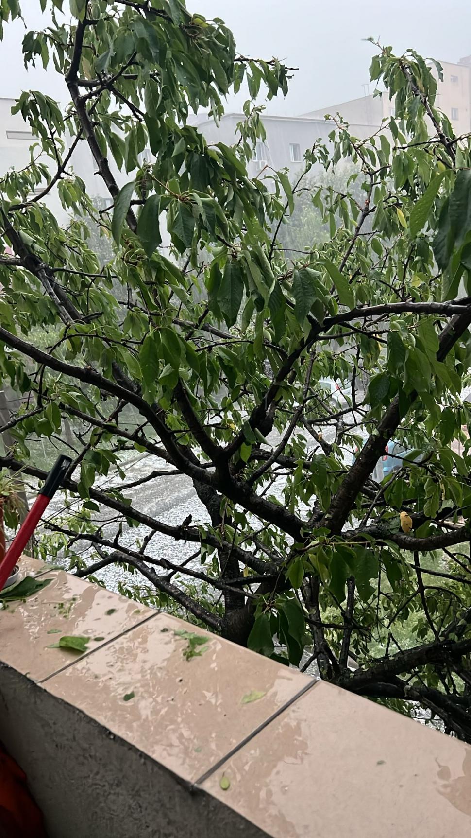 Imagini cu dezastrul lăsat în urmă de codul roşu de vijelii. Au fost rafale de peste 100 de km/h. Zeci de acoperişuri smulse şi maşini avariate 907456