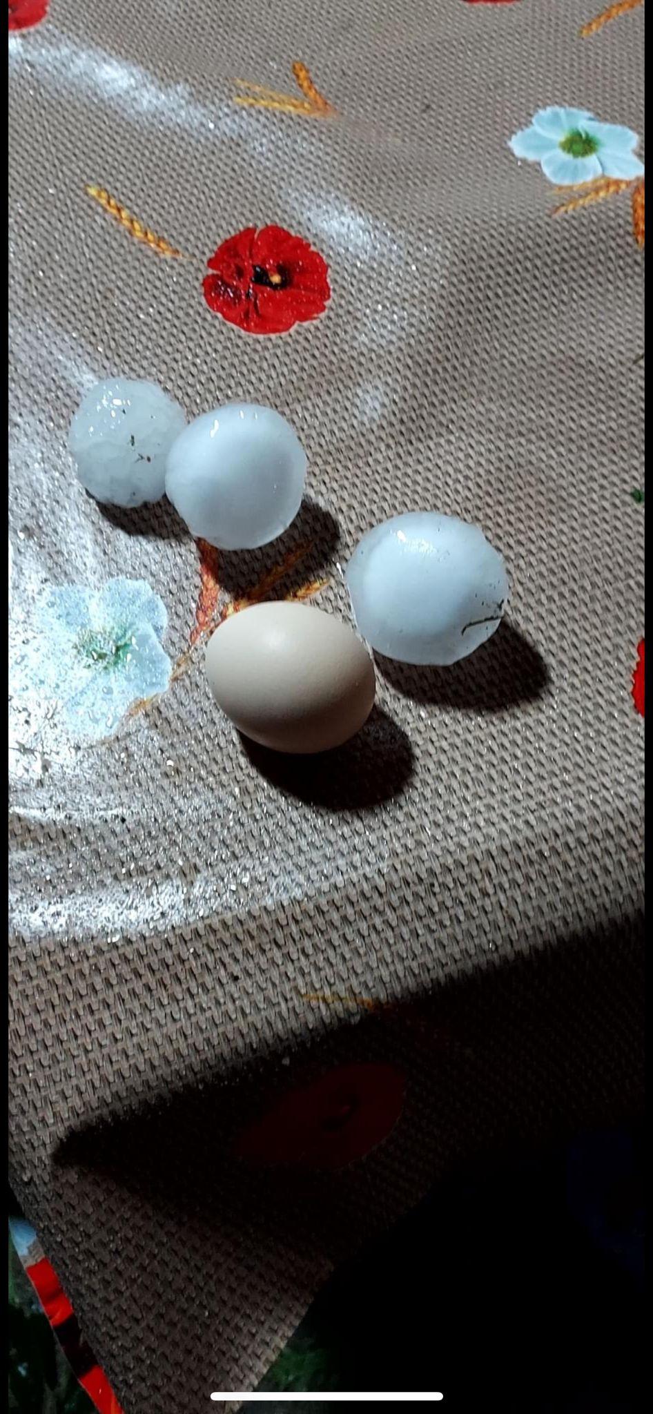 Imagini cu dezastrul lăsat în urmă de codul roşu de vijelii. Au fost rafale de peste 100 de km/h. Zeci de acoperişuri smulse şi maşini avariate 907470