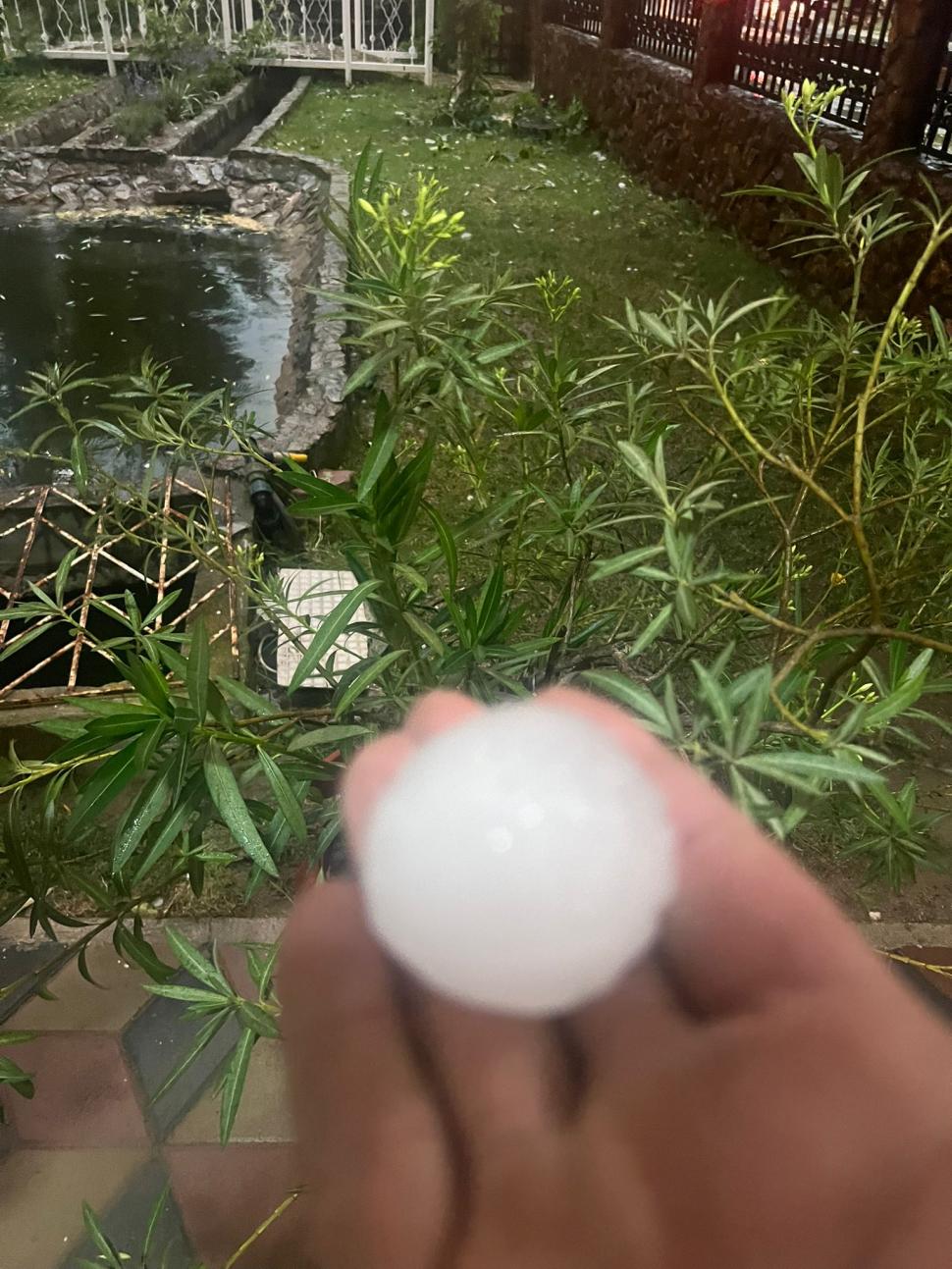 Imagini cu dezastrul lăsat în urmă de codul roşu de vijelii. Au fost rafale de peste 100 de km/h. Zeci de acoperişuri smulse şi maşini avariate 907471