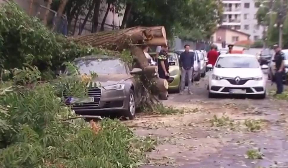 Imagini apocaliptice în urma furtunilor violente de joi seară. România a fost devastată după vijelii și ploi torențiale 907631