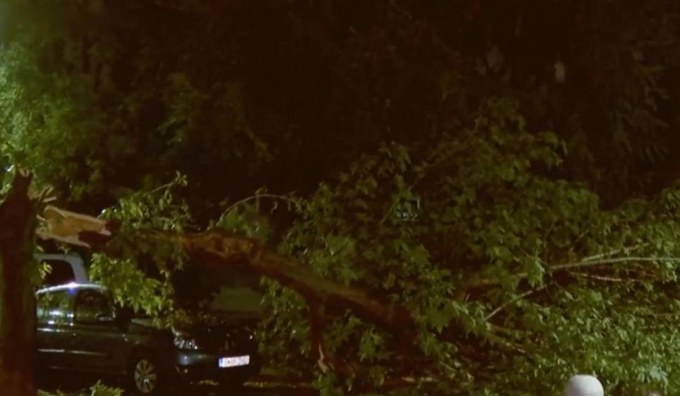 Imagini apocaliptice în urma furtunilor violente de joi seară. România a fost devastată după vijelii și ploi torențiale 907637