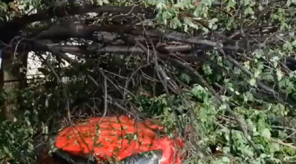 Prăpăd în Capitală, după urgia de noaptea trecută. Copaci rupți, acoperișuri smulse, iar străzile s-au transformat în râuri 907508