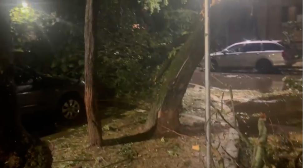 Prăpăd în Capitală, după urgia de noaptea trecută. Copaci rupți, acoperișuri smulse, iar străzile s-au transformat în râuri 907512