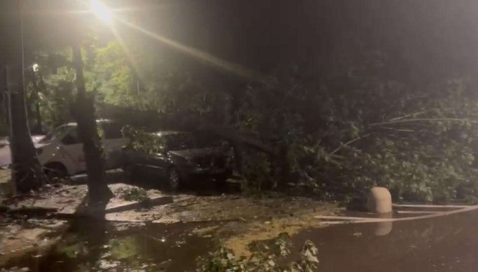 Prăpăd în Capitală, după urgia de noaptea trecută. Copaci rupți, acoperișuri smulse, iar străzile s-au transformat în râuri 907516