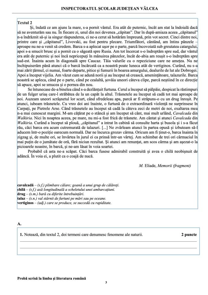 Teste de antrenament la Limba și literatura română pentru Evaluarea Națională 2024 907317