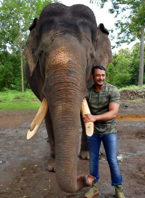 Un actor este suspectat ca ar fi ucis un admirator exact ca în scenariul unui film în care a jucat 908882