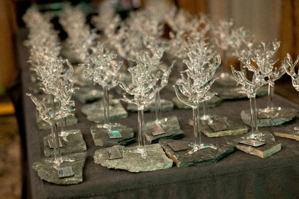 Gala Dezvoltăm România Sustenabil, ediția a treia 909161