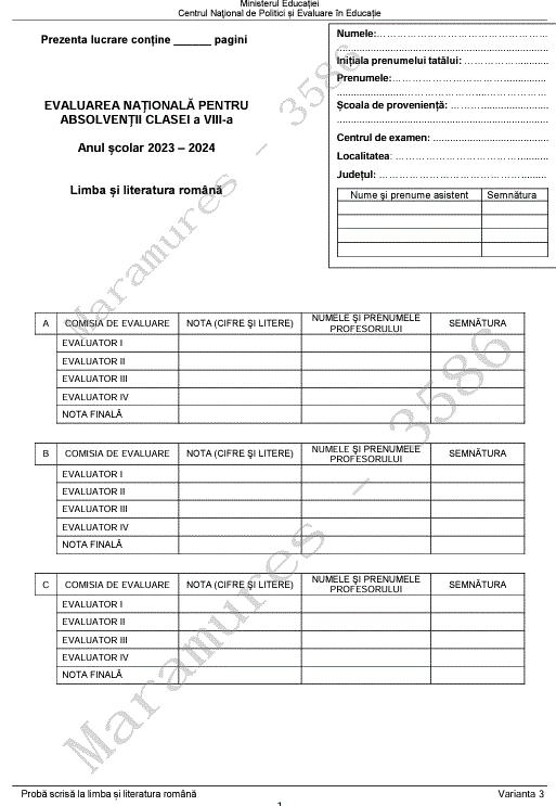 Subiectele de la Limba română de la Evaluarea Națională 2024. Ce au primit elevii la examen 909134