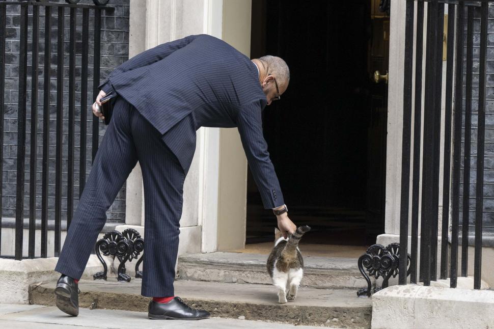 „Eu sunt cel care conduce aici”. Motanul Larry se pregătește pentru un nou colocatar în Downing Street 10 909671