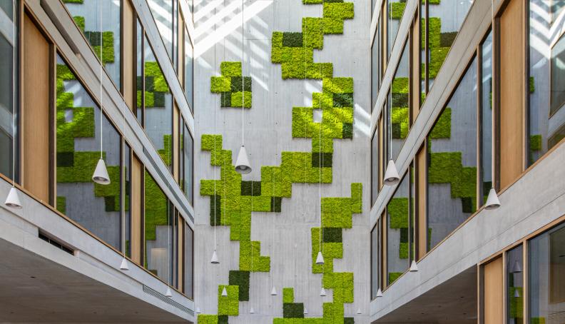 Banca Transilvania sărbătorește cei 30 de ani de existență cu rezultate de excepție și noi achiziții 910007