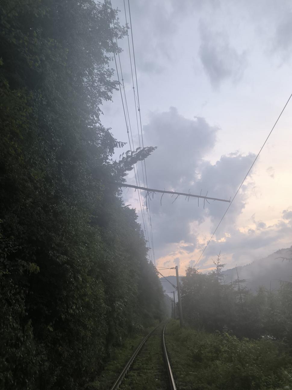 VIDEO Maramureșul, devastat de furtuni: Un bărbat a murit lovit de fulger. O pădure a fost doborâtă de vânt 910528