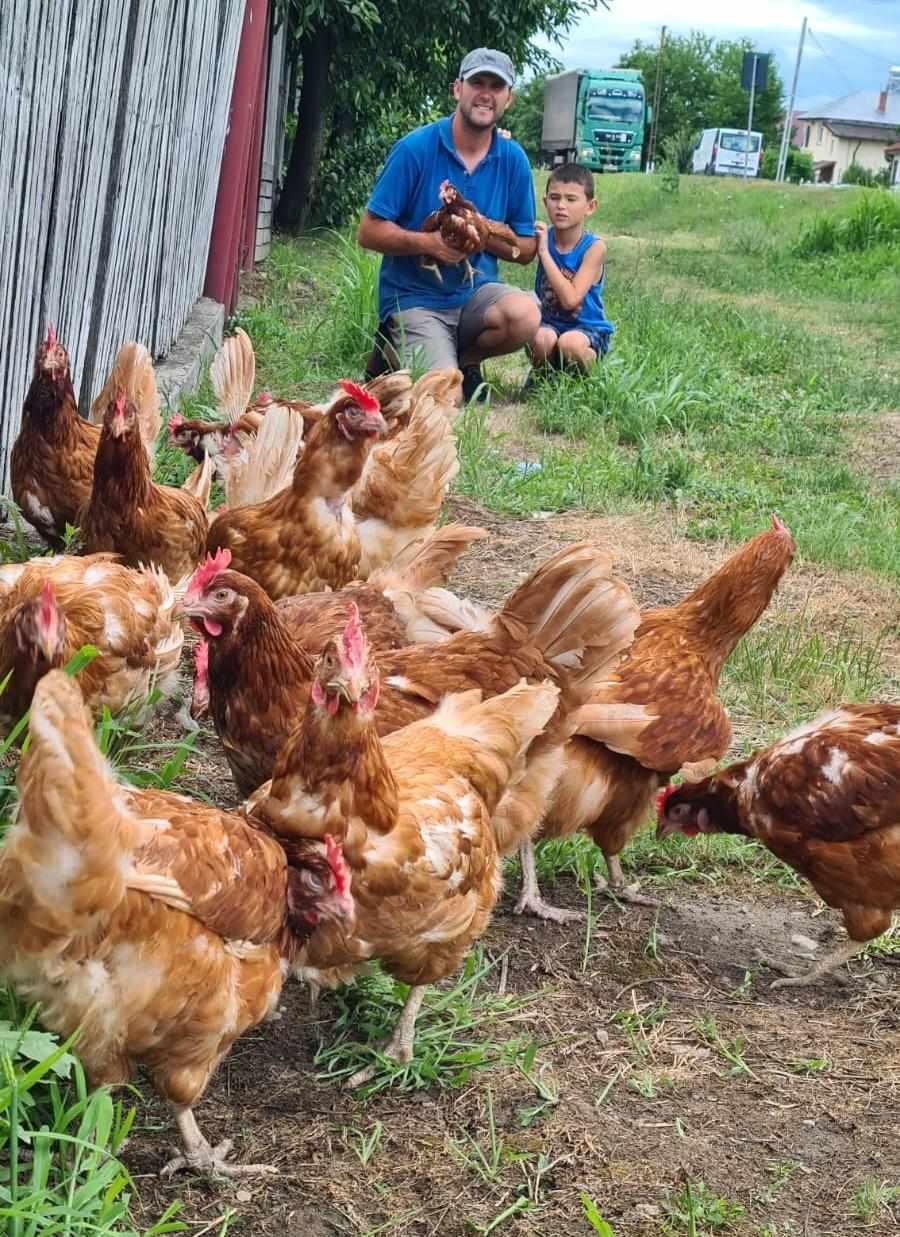 Fundația Carmistin a donat 10.000 găini ouătoare BIO, în cadrul unei campanii anuale dedicate comunitățiIor 911301