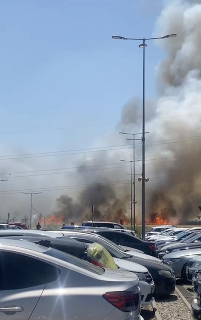 Incendiu puternic lângă București. A luat foc vegetația uscată din apropierea unui centru comercial din Chiajna 911874