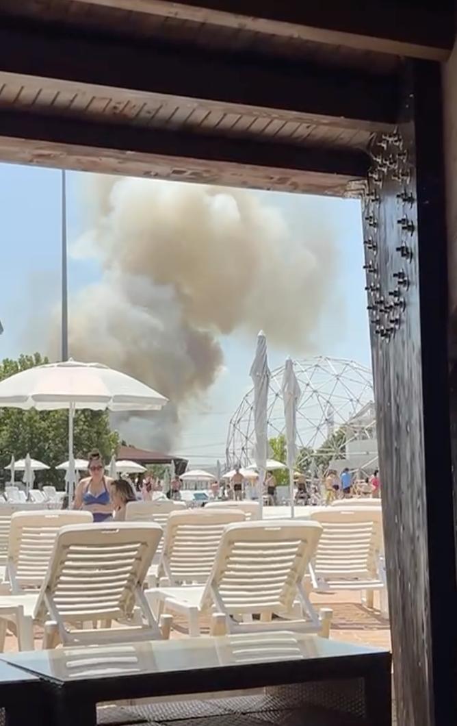 Incendiu puternic lângă București. A luat foc vegetația uscată din apropierea unui centru comercial din Chiajna 911875