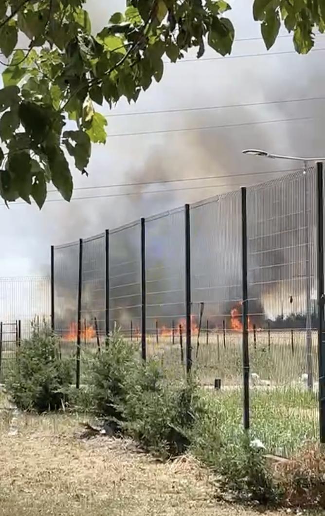 Incendiu puternic lângă București. A luat foc vegetația uscată din apropierea unui centru comercial din Chiajna 911876