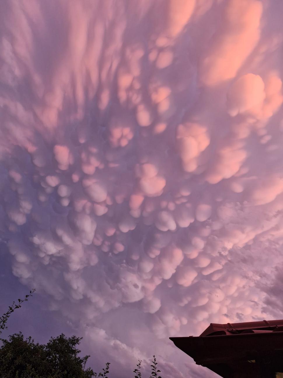 Cerul României, colorat de un fenomen spectaculos: „Norișori” roz, cu forme inedite, au fost fotografiați și filmați de locuitorii din Neamț 912100