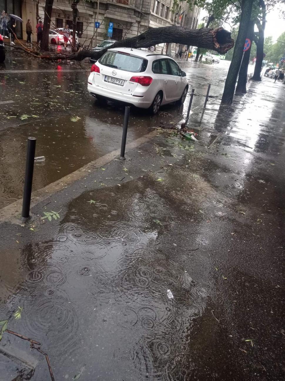 Furtuna cu grindină a făcut prăpăd în București, în doar câteva minute: Copaci și acoperișuri smulse de vânt au căzut pe mașini aflate în mers 912062