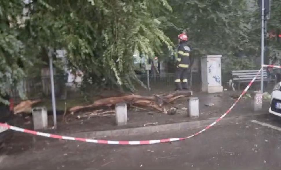 Furtună puternică în București. Copaci rupți de vânt, stâlpi căzuți pe carosabil. Un avion nu a putut ateriza pe Otopeni 912995