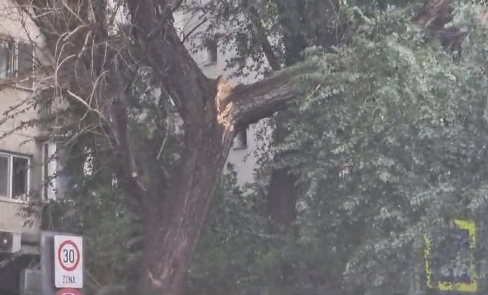 Furtună puternică în București. Copaci rupți de vânt, stâlpi căzuți pe carosabil. Un avion nu a putut ateriza pe Otopeni 912996