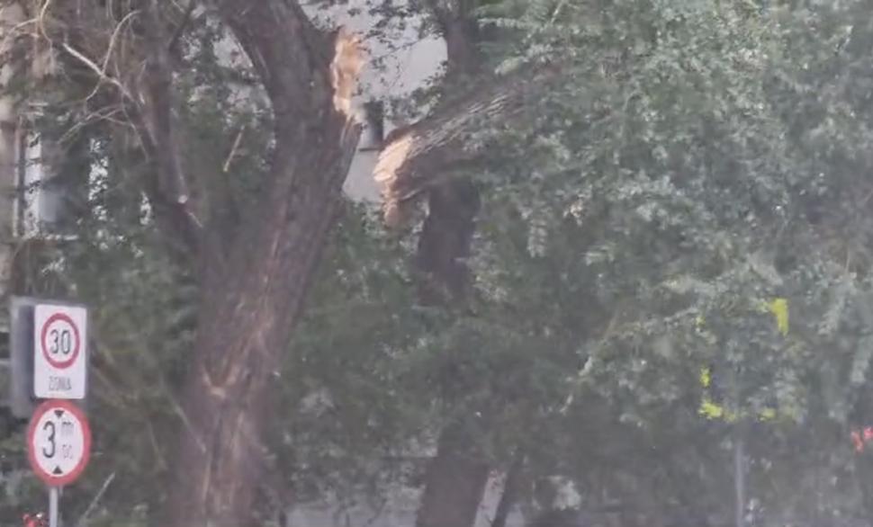Furtună puternică în București. Copaci rupți de vânt, stâlpi căzuți pe carosabil. Un avion nu a putut ateriza pe Otopeni 912997