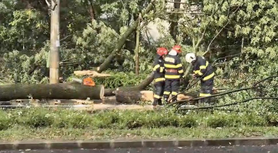 Străzi inundate în nordul Capitalei. Furtuna a doborât din nou copaci și a îngreunat traficul 913514