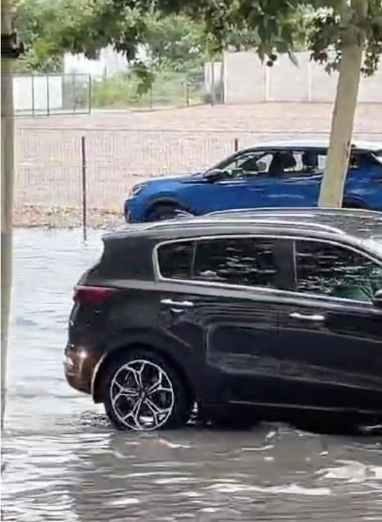 Străzi inundate în nordul Capitalei. Furtuna a doborât din nou copaci și a îngreunat traficul 913516