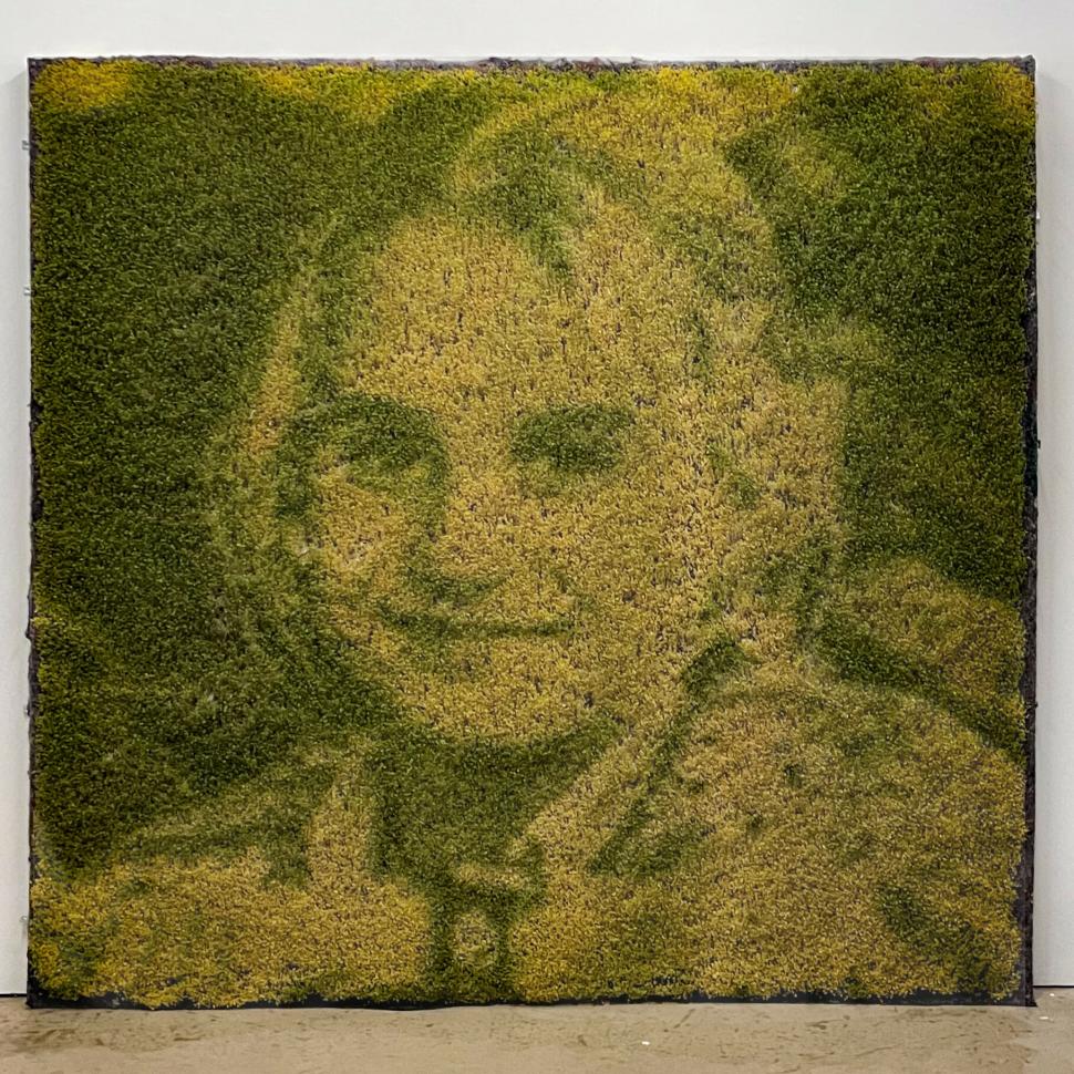 „Doar pun un negativ deasupra frunzei”: Cum arată fotografiile imprimate pe plante vii. Tehnica a fost inventată în anii '90 913912