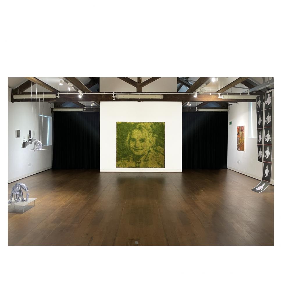 „Doar pun un negativ deasupra frunzei”: Cum arată fotografiile imprimate pe plante vii. Tehnica a fost inventată în anii '90 913913