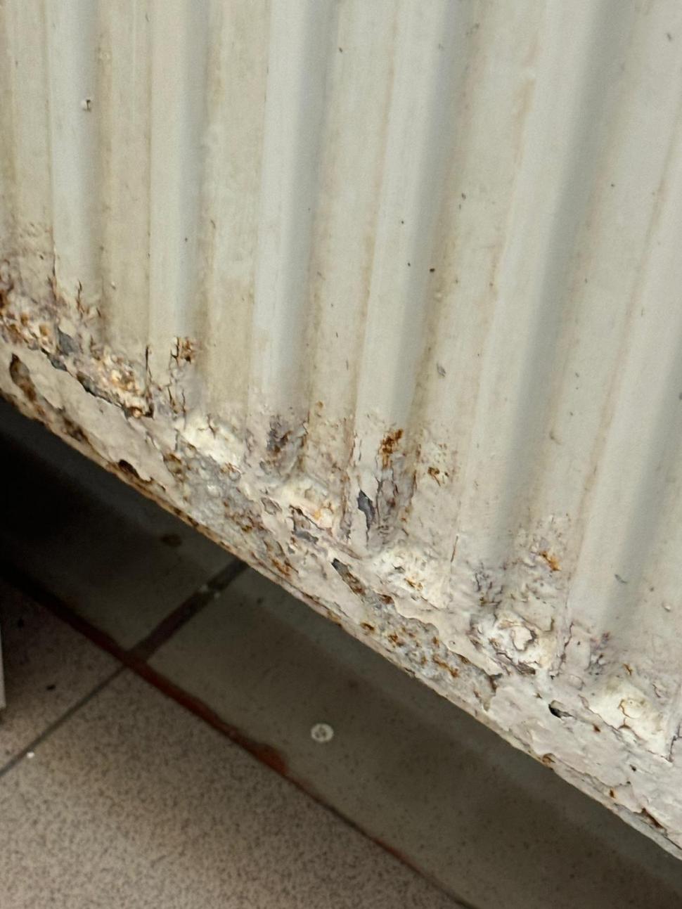  Imagini șocante dintr-un nou azil al groazei. Oamenii erau ținuți nespălați în condiții mizere, în timp ce saltelele noi erau ascunse 914036