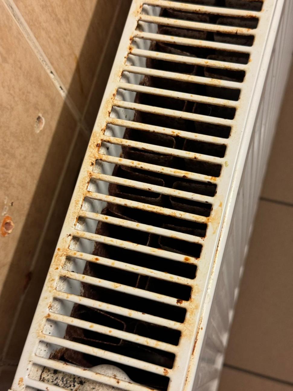  Imagini șocante dintr-un nou azil al groazei. Oamenii erau ținuți nespălați în condiții mizere, în timp ce saltelele noi erau ascunse 914038