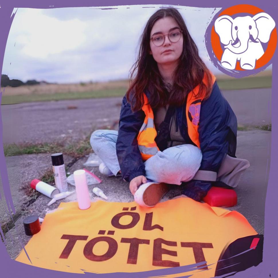 Activiștii de mediu au blocat un aeroport în Germania după ce s-au lipit de pistă. Proteste și în Finlanda și Norvegia  914167