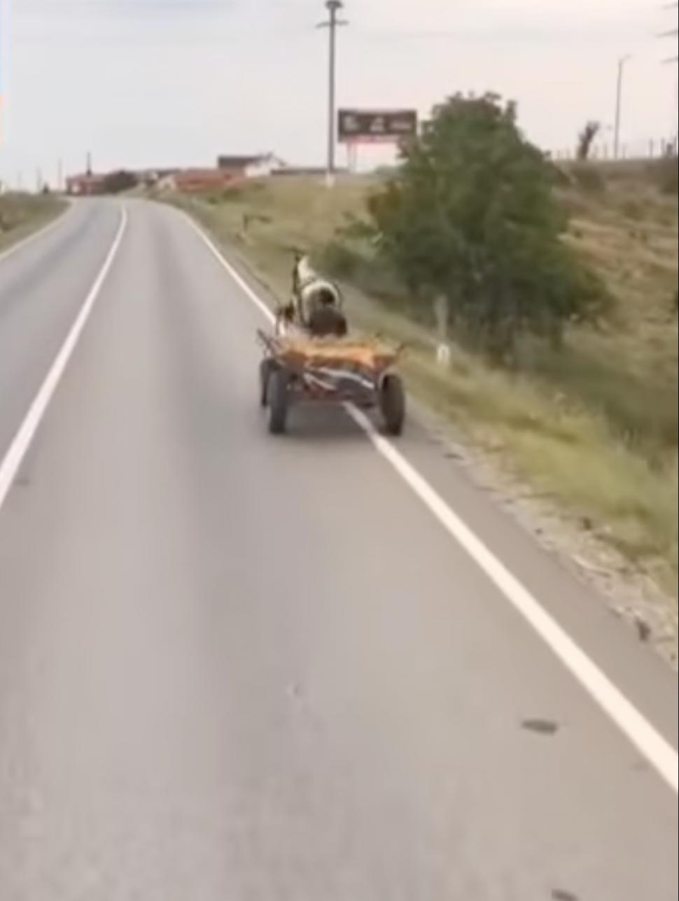 Un bărbat a pus viața mai multor șoferi în pericol: Circula haotic cu căruța, pe un drum național din Târgoviște 914247