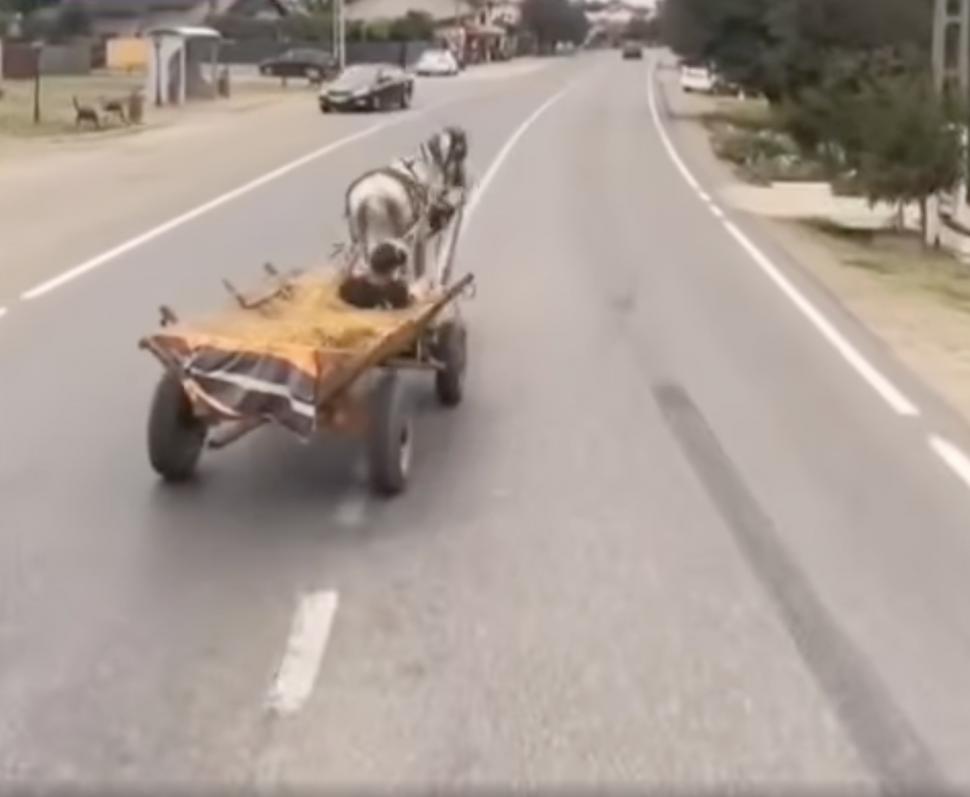 Un bărbat a pus viața mai multor șoferi în pericol: Circula haotic cu căruța, pe un drum național din Târgoviște 914250