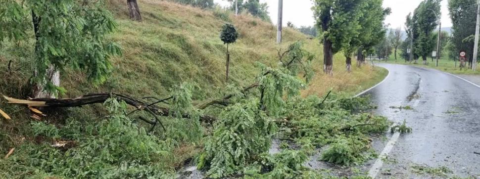 Străzi și case inundate, culturi distruse și copaci rupți de vânt: România a fost măturată de furtuni 914354