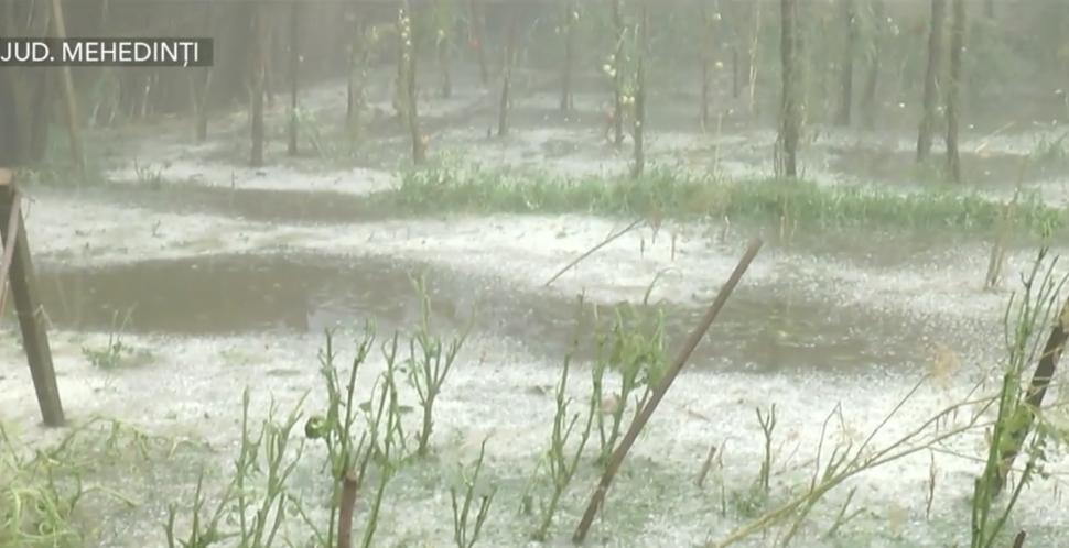 Străzi și case inundate, culturi distruse și copaci rupți de vânt: România a fost măturată de furtuni 914359