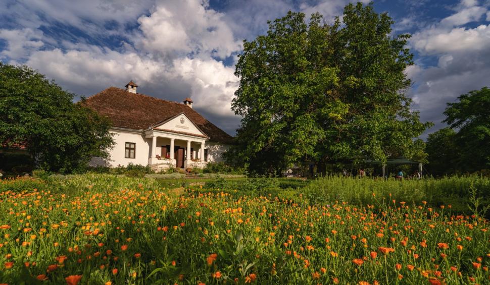 Grădina cu mirodenii din România care a ajuns celebră și în străinătate: „Este cu adevărat un miracol ce se întâmplă aici” 914768