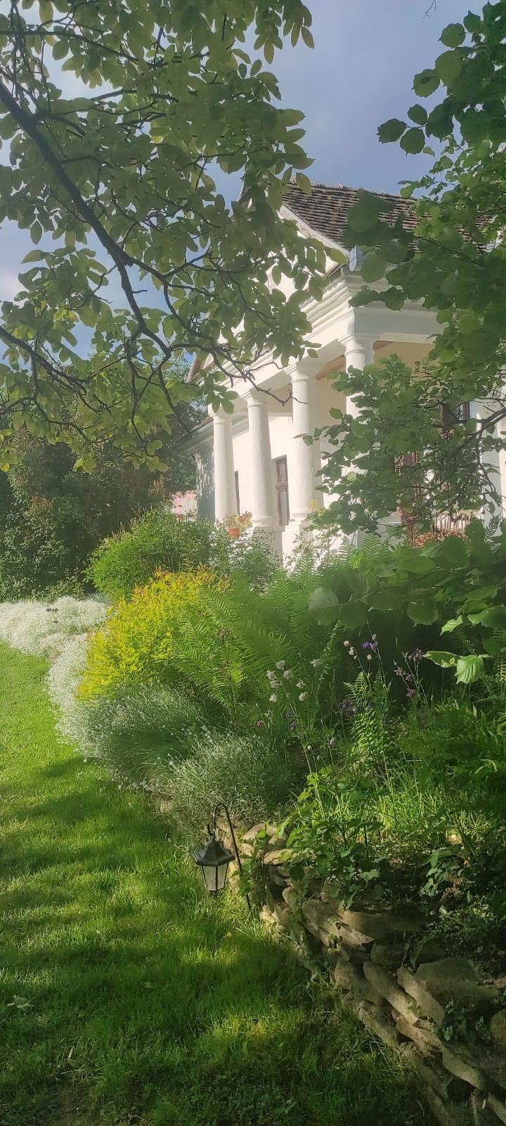 Grădina cu mirodenii din România care a ajuns celebră și în străinătate: „Este cu adevărat un miracol ce se întâmplă aici” 914769