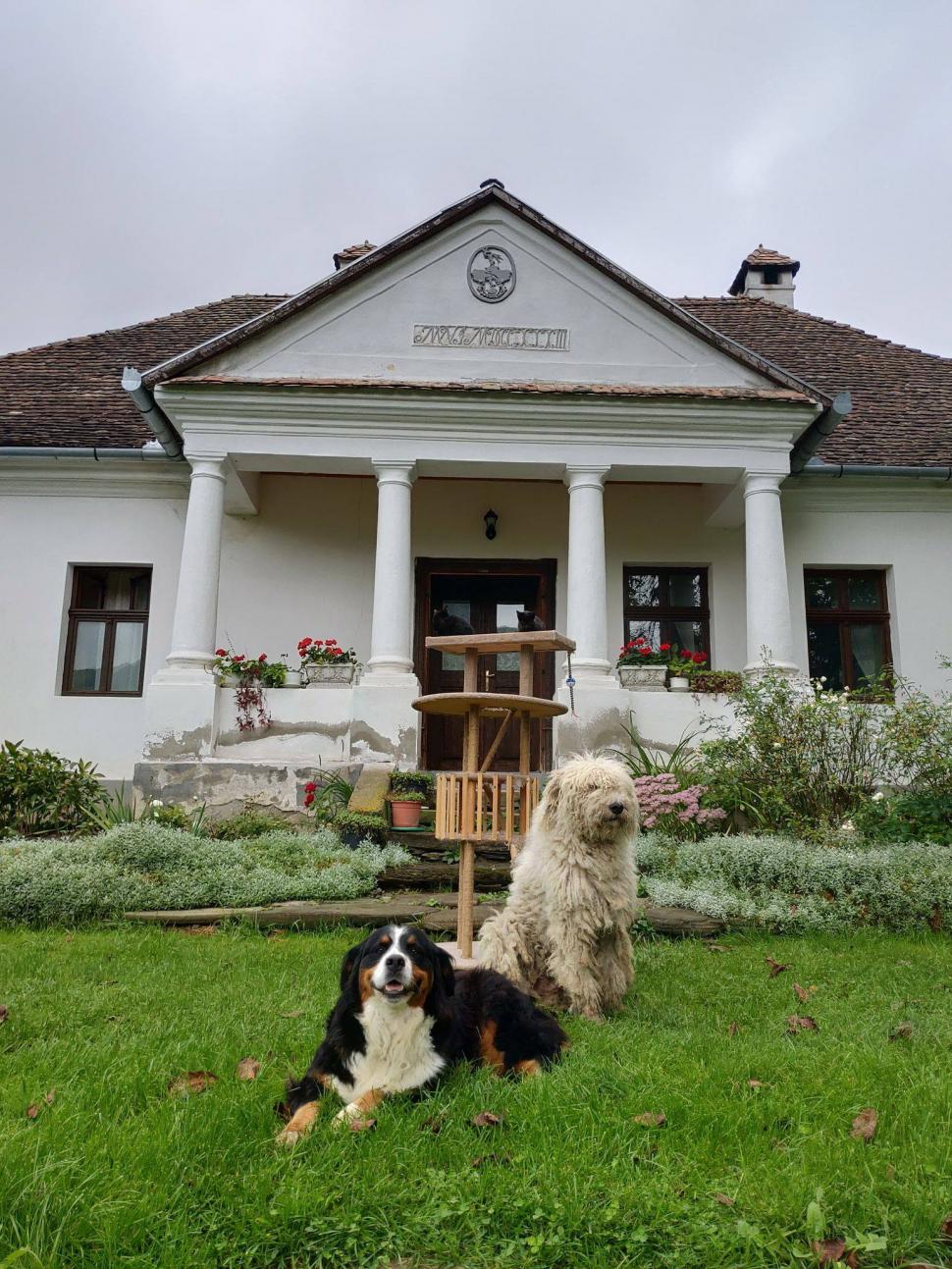 Grădina cu mirodenii din România care a ajuns celebră și în străinătate: „Este cu adevărat un miracol ce se întâmplă aici” 914771