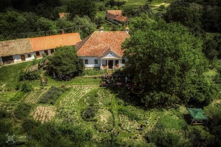 Grădina cu mirodenii din România care a ajuns celebră și în străinătate: „Este cu adevărat un miracol ce se întâmplă aici” 914772