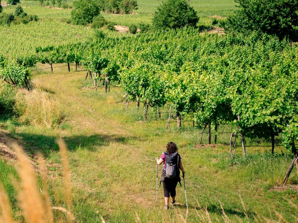 Traseul spectaculos din România care a intrat în top „cele mai grozave locuri din lume de vizitat în 2024” realizat de revista TIME 914744