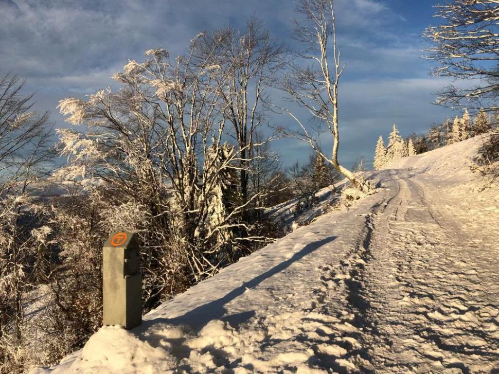 Traseul spectaculos din România care a intrat în top „cele mai grozave locuri din lume de vizitat în 2024” realizat de revista TIME 914745