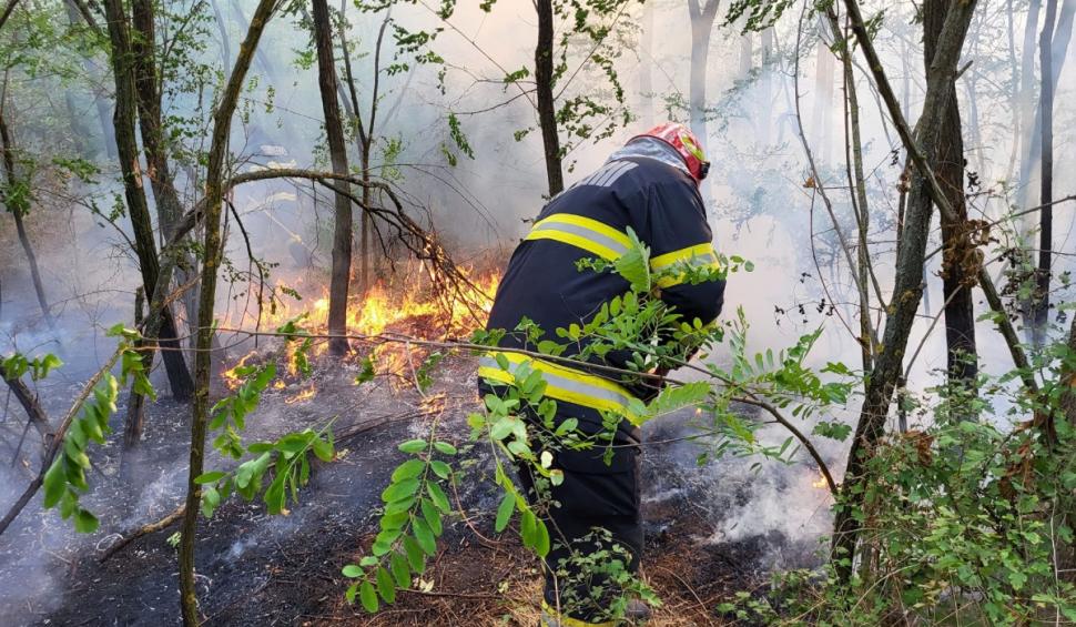  Incendiu masiv în Giurgiu. 40 de hectare din zona pădurii Bălănoaia au ars. Pompierii au fost chemați din timpul liber 915793