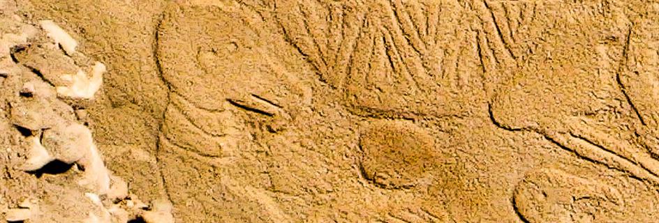 Cel mai vechi calendar din lume a fost descoperit într-un templu din Turcia. Câte zile pe an numără simbolurile vechi de 9 milenii 916398