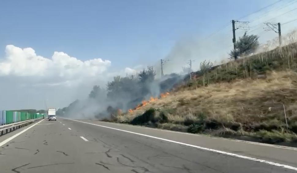 Incendiu de vegetație lângă Autostrada A2, la Podul Cernavodă: Șoferii au filmat focul. Circulația trenurilor a fost oprită 918968