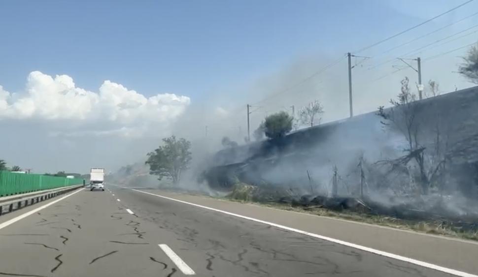 Incendiu de vegetație lângă Autostrada A2, la Podul Cernavodă: Șoferii au filmat focul. Circulația trenurilor a fost oprită 918969