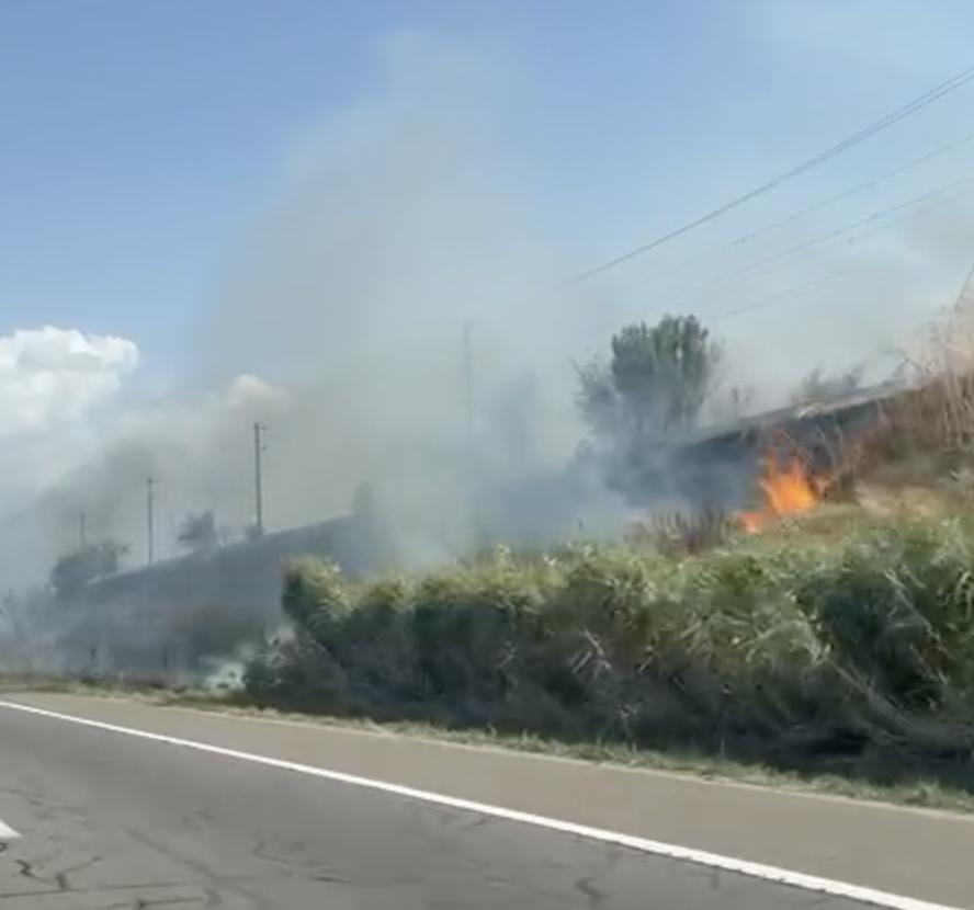 Incendiu de vegetație lângă Autostrada A2, la Podul Cernavodă: Șoferii au filmat focul. Circulația trenurilor a fost oprită 918970
